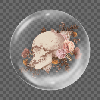 PNG aesthetic floral skull sticker, | Free PNG - rawpixel