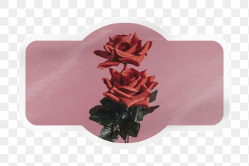 PNG aesthetic red rose label, | Free PNG - rawpixel PNG aesthetic red rose label, | Free PNG - rawpixel