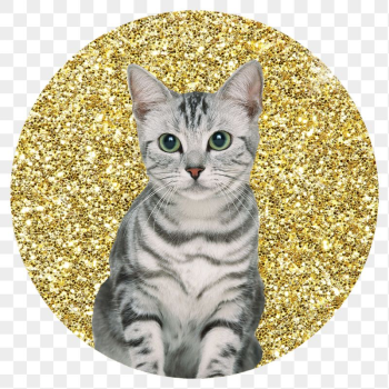 Png American shorthair cat badge | Free PNG - rawpixel