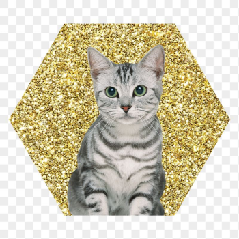 Png American shorthair cat badge | Free PNG - rawpixel