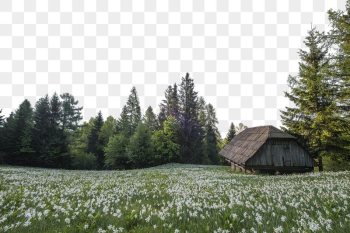 Png Chalet among flower field | Free PNG - rawpixel