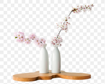 Png cherry blossom in vases | Free PNG - rawpixel