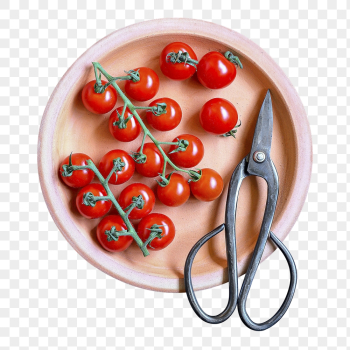 Png cherry tomatoes on plate, | Free PNG - rawpixel Png cherry tomatoes on plate, | Free PNG - rawpixel