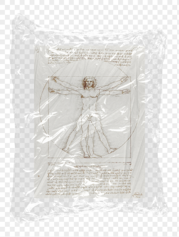 Png Da Vinci's Vitruvian Man | Free PNG - rawpixel Png Da Vinci's Vitruvian Man | Free PNG - rawpixel