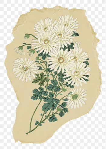 Png daisy sticker, flower vintage | Free PNG - rawpixel