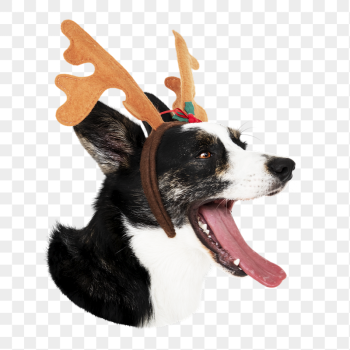 Png dog wearing antlers sticker, | Free PNG - rawpixel