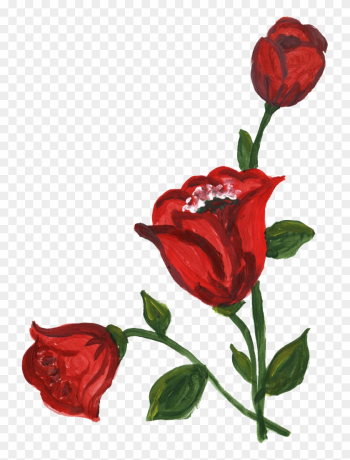 Png File Size - Garden Roses