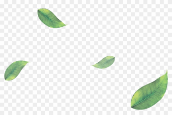 Png Green Leaves Leaf Png Image - Falling Green Leaves Png