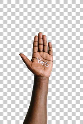 PNG Hand Gesture Indicating Affirmation