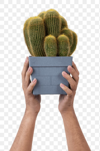 Png hand mockup holding potted cactus | Free stock illustration | High Resolution graphic