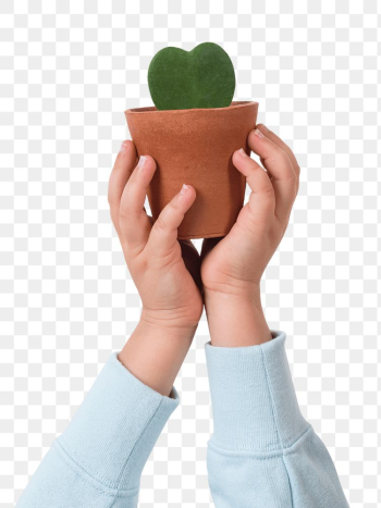 Png hand mockup holding potted sweetheart… | Free stock illustration | High Resolution graphic