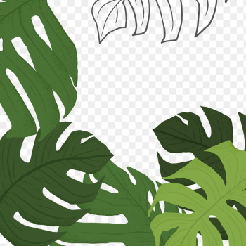 PNG monstera plant frame sticker botanical… | Free stock illustration | High Resolution graphic