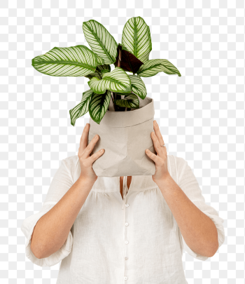 Png plant lover mockup holding | Free PNG Sticker - rawpixel