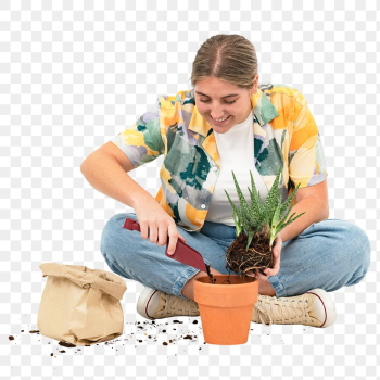 Png plant lover mockup repotting aloe vera | Free stock illustration | High Resolution graphic