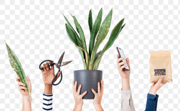 Png plant lover's hand mockup for online shop | Free stock illustration | High Resolution graphic