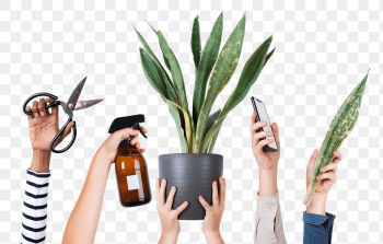 Png plant lover's hand mockup for online shop | Free stock illustration | High Resolution graphic