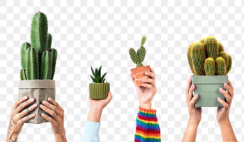 Png plant parent's hand mockup holding cactus | Free stock illustration | High Resolution graphic