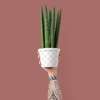 Png plant pot mockup with cylindrical snake… | Free stock illustration | High Resolution graphic