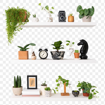 Png plant pots mockup on white shelf home… | Free stock illustration | High Resolution graphic