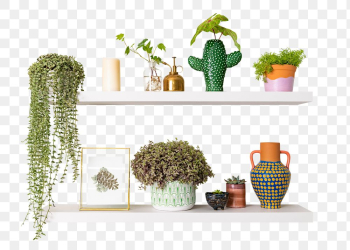 Png plant pots mockup on white shelf home… | Free stock illustration | High Resolution graphic