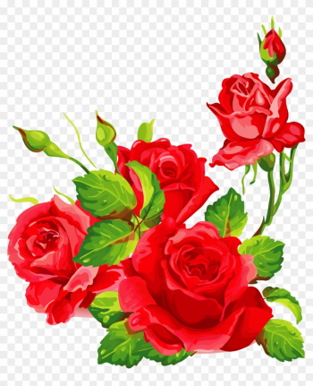 Png Клипарт "beautiful Flowers" - Garden Roses Png Клипарт "beautiful Flowers" - Garden Roses