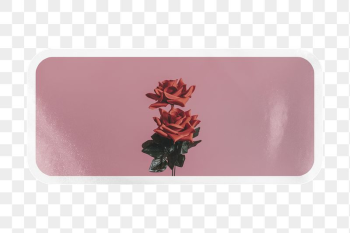PNG rose label, aesthetic pink | Free PNG - rawpixel PNG rose label, aesthetic pink | Free PNG - rawpixel