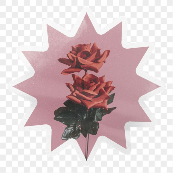 PNG rose label, aesthetic pink | Free PNG - rawpixel PNG rose label, aesthetic pink | Free PNG - rawpixel