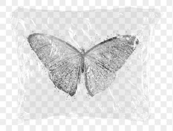 Png silver glitter butterfly plastic | Free PNG - rawpixel