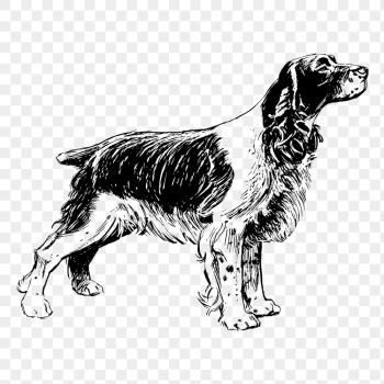 PNG spaniel dog, animal clipart, | Free PNG Illustration - rawpixel