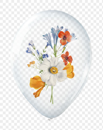 PNG spring flowers in clear | Free PNG - rawpixel