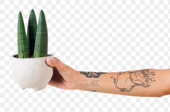 Png tattooed hand mockup holding potted… | Free stock illustration | High Resolution graphic