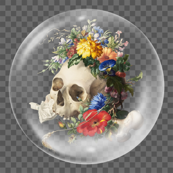 Png Vanitas floral skull sticker, | Free PNG - rawpixel