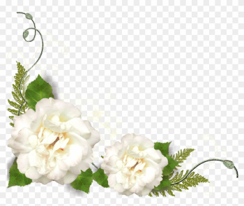 Png形式でダウンロード - White Roses Corner Png