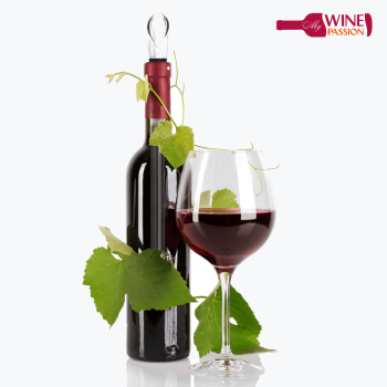 PNG Wine Bottle And Glass Transparent Wine Bottle And Glass.PNG ...