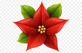 Poinsettia Bowl Clip art - Christmas Poinsettia PNG Clip-Art Image 