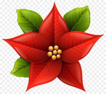 Poinsettia Christmas Clip art - Poinsettia Flower Cliparts Poinsettia Christmas Clip art - Poinsettia Flower Cliparts