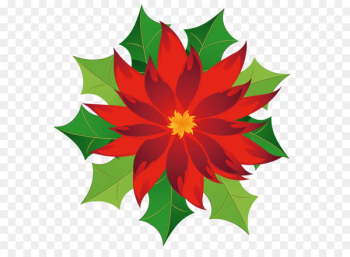 Poinsettia Clip art - Christmas Poinsettia Clipart Poinsettia Clip art - Christmas Poinsettia Clipart