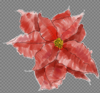 Poinsettia PNG Image Poinsettia PNG Image