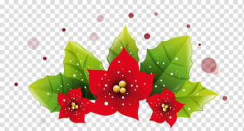 Poinsettias digital painting, Christmas ornament Leaf, Christmas Poinsetta Decoration transparent background PNG clipart