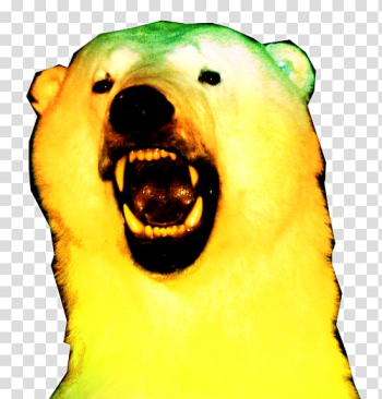 Polar bear Fruit Snout, polar bear transparent background PNG clipart Polar bear Fruit Snout, polar bear transparent background PNG clipart
