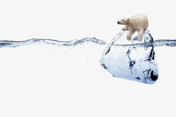 Polar Bear On Ice, Polar Bear, Ice, Watermark PNG Image and ...