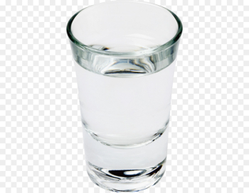 Polar Bear Vodka Goldschläger Schnapps Cocktail - polar bear png ...