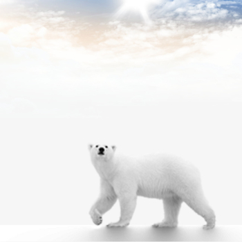 Polar Bears Material Download, Polar Bear, Bear, Sky PNG Clipart ...