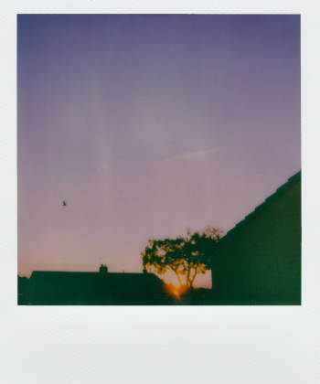 Polaroid Film Polaroid Film
