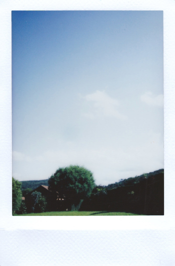Polaroid Photo Polaroid Photo
