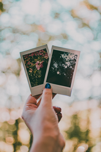 Polaroid Photos Polaroid Photos