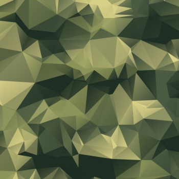 Polygonal camouflage background Polygonal camouflage background