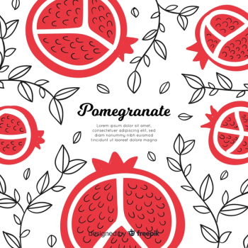 Pomegranate Pomegranate