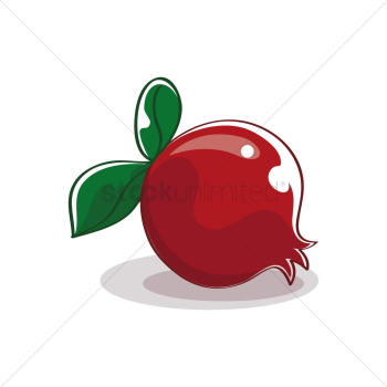 Pomegranate Pomegranate