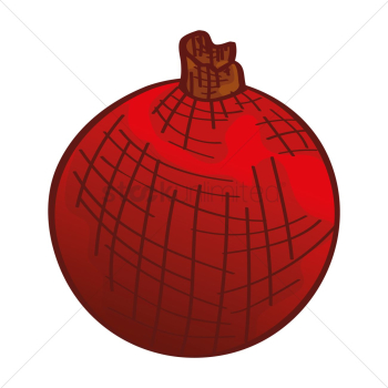 Pomegranate Pomegranate